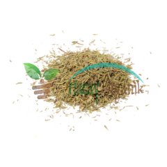 KURU ZAHTER (DAĞ KEKİĞİ) 100 GR