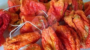 DOLMALIK KURUTMALIK Acı Biber 50 Adet