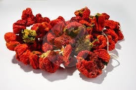 DOLMALIK KURUTMALIK Acı Biber 50 Adet