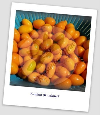 Kamkat (Kumkuat) Reçeli 460 gr