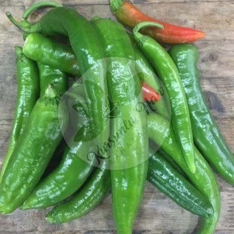 Samandağ Taze Biber 1 KG