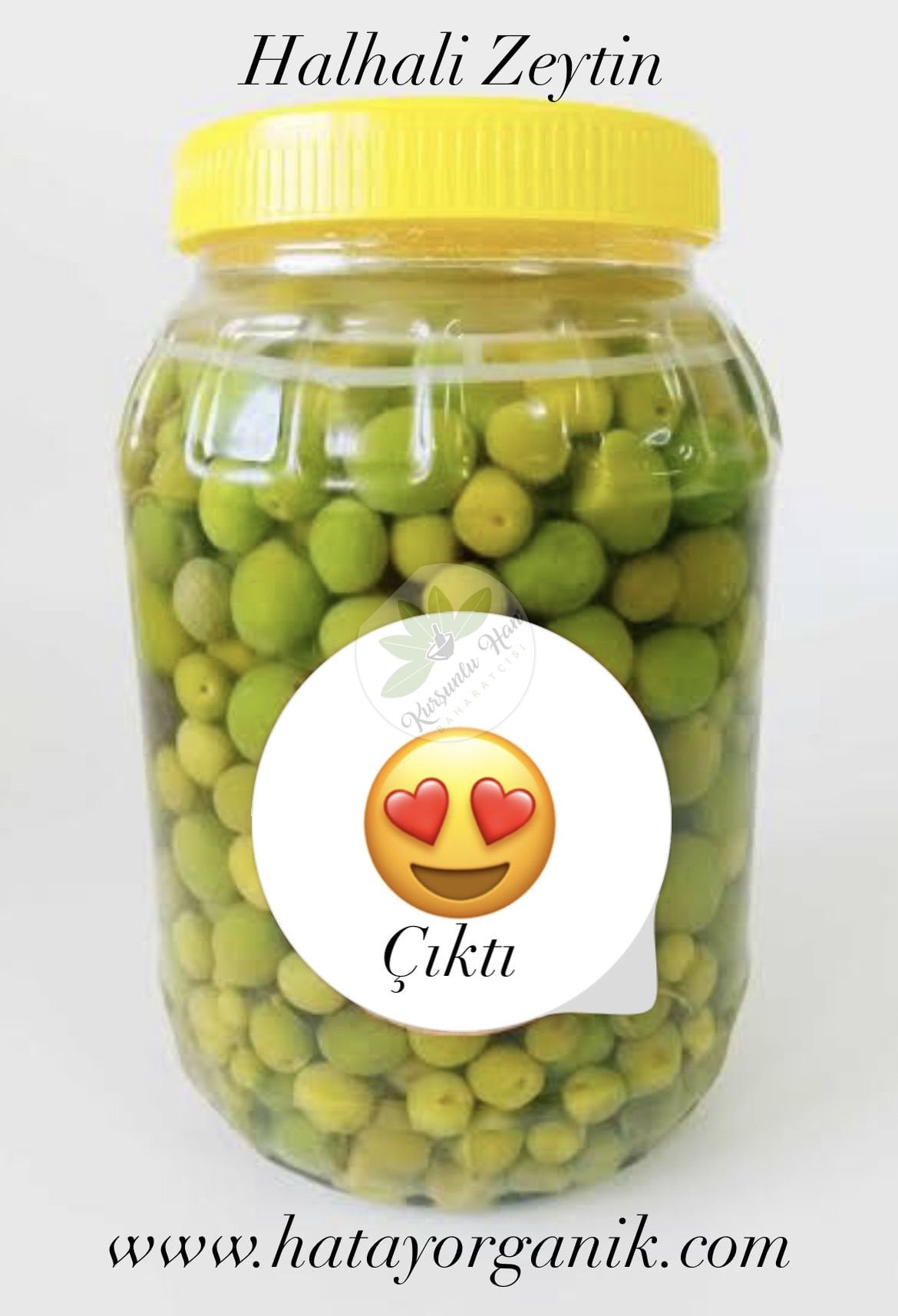 Zeytin Halhali (Yeni Mahsül)